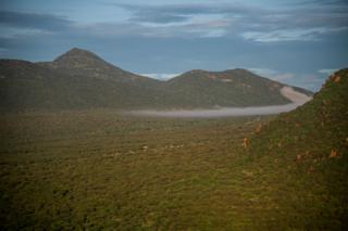 1 Samburu ve Isiolo ilçesi Kenya ovaları DSC_6917 mahsul