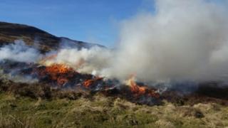 Muirburn