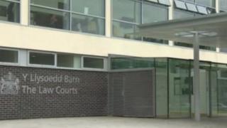 Llys y goron yr Wyddgrug