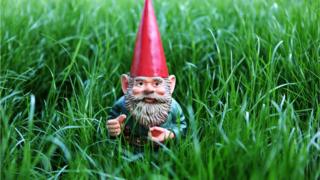 Recycling fines: Gnomes and dog poo among garden waste errors - BBC News
