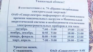Электр энергиясына эсеп дүмүрчөк