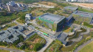 The green office from above