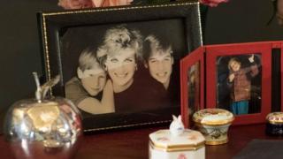 Pictures of Princess Diana and Harry and William