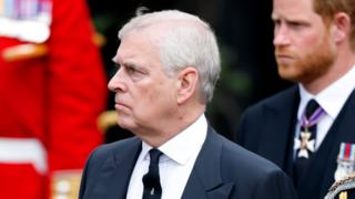 More Stand-ins For King, But Prince Andrew And Prince Harry Stay - BBC News