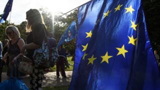 Woman holding an EU flag