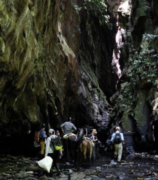 Trekking in den abgelegenen Ranura Canyon im Magdalena Valley mit Wissenschaftlern aus Kew Gardens auf der Suche nach seltenen Pflanzenarten