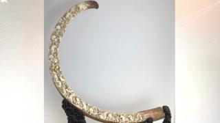 10,000-year-old woolly mammoth tusk.