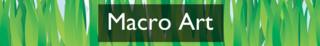 Section heading: Macro Art