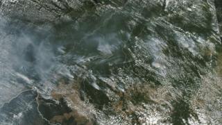 Imagem da Nasa mostra vários incêndios nos estados de Rondônia, Amazonas, Pará e Mato Grosso em agosto de 2019