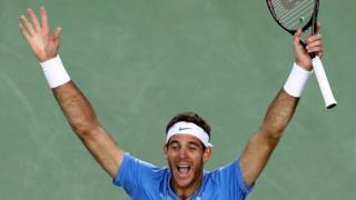Del Potro celebra al final del partido.