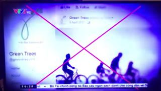 Ảnh chụp màn hình lại một video thành viên Greentrees quay lại phóng sự của VTV hôm 3/11