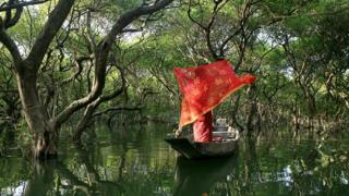 বাংলাদেশের সিলেটে রাতারগুল সোয়াম্প ফরেস্টের প্রকৃতিতে এক তরুণী