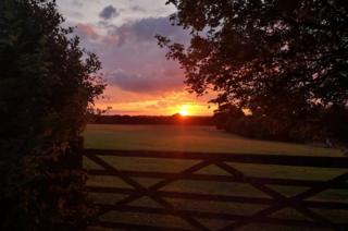 Sunset over fields