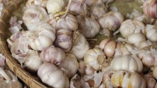 রসুন খেয়ে কি করেনাভাইরাস প্রতিরোধ করা সম্ভব?