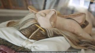 Josephinum, Collections and History of Medicine, MedUni Vienna/Photo Joanna Ebenstein