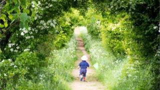 Boy in woods