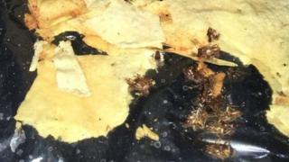 Cockroaches among the poppadoms
