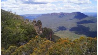 Road less area in Blue Mountains National Park, Australia