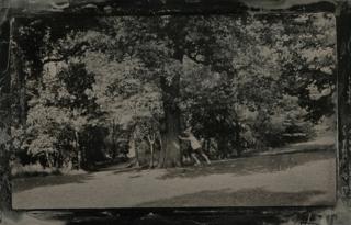 Playing under a tree