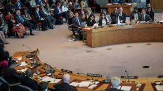 United Nations Security Council Meeting