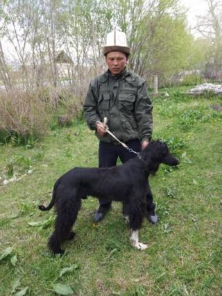 тайган
