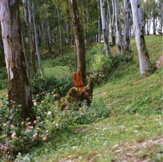 Landscape view of Rwanda