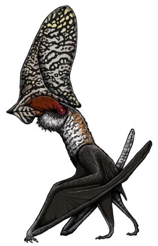 Caiuajara dobruskii