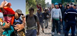 Составное изображение, показывающее три разных лота мигрантов