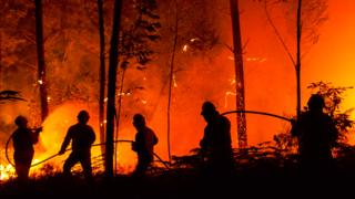 Incendio en Portugal en junio de 2017