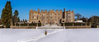 Deer in snow at Eynsham Hall