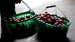 Eggs inside basket