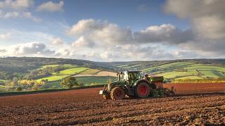A tractor in a field in Ashcombe in South Devon