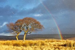 Mat Robinson: Snowbow