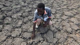 Farmer inspects his dry land