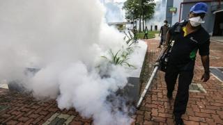 সিঙ্গাপুরে মশা নিধনে কাজ হচ্ছে