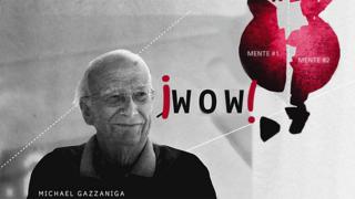 Mike Gazzaniga diciendo Wow