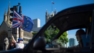 Brexit protesters at Westminster