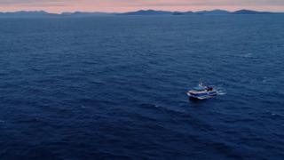 Tuna research