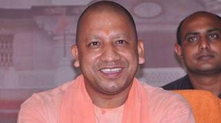 yogi