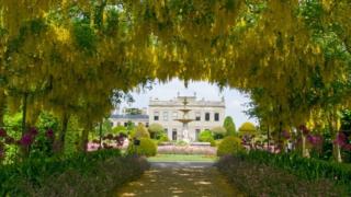 A tunnel of plants in front of Brodsworth Hall