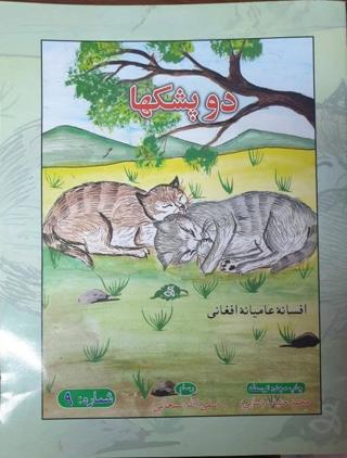افغانستان