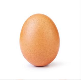 egg.