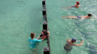 Swimmers at Bronte Rock Pool in Sydney on Tuesday
