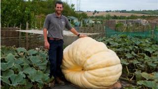 Result of the largest seed