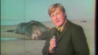 The Exploding Whale/YouTube