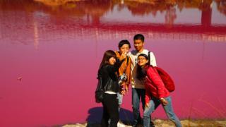 Un grupo de turistas asiáticos tomándose un selfie delante del lago rosado de Westgate Park.