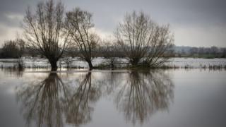 Flood water gathers in fields in Somerset following Storm Angus