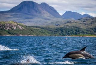 Loch Gairloch