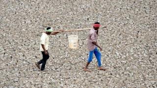Indian worker carry the last bit of water from a small pond in the dried-out Puzhal reservoir on the outskirts of Chennai, India