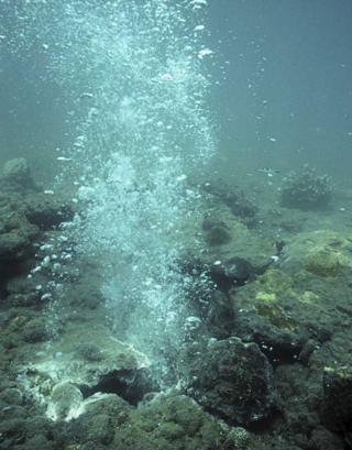 每个勘探区必须先进行生态评估,才能开始深海采矿作业。 (Photo: NHM)